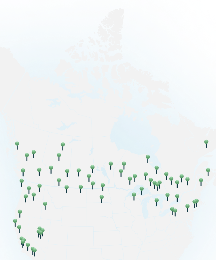 The FLO Network