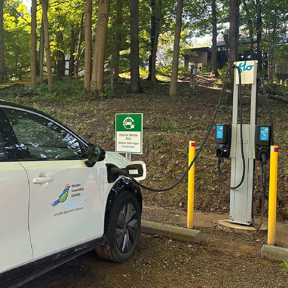 Go electric dundas shop